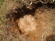 Limpa Fossas Negras no Vila Velha